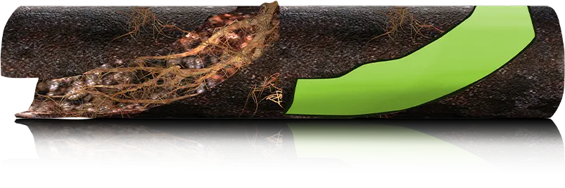 epoxy pipe lining